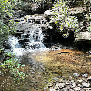 Meet your Posher, Bill